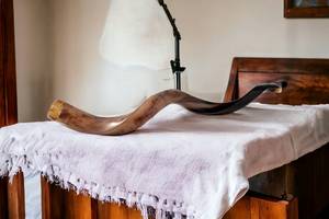 Shofar de Cuerno de Carnero Kosher Pulido |   Material Orgánico de Tacto Real |   Auténtica trompeta judía de Uttar Pradesh - Product Image 2