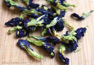 Vietnam Premium Butterfly Pea Flowers Dried Natural Blue Botanical Ingredient Carefully Selected Clean Export Quality - Product Image 3