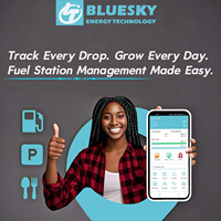 Bluesky meilleure vente 12V 24V Mini distributeur de carburant portable avec enrouleur de tuyau pour camion-citerne