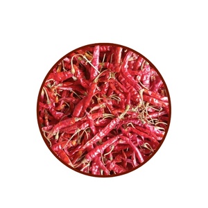 Piments rouges Guntur Byadgi de qualité supérieure séchés entiers avec tige, très chauds et épicés, épices indiennes authentiques pour l'assaisonnement et la cuisine - Product Image 6