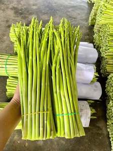 Asperges frais de qualité supérieure – Prix de gros compétitif - Product Image 3