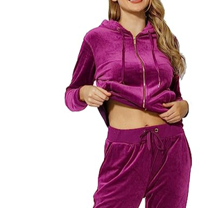 Polyester/Cotton Wholesale Custom 2 Pcs Velvet Windproof Breathable Casual <b>Lightweight</b> <b>Hoodie</b> Jogging Set Velour Tracksuit Women - Product Image 1
