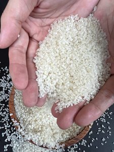 [Keith Vilaconic] Vietnam 100% Broken Rice | Affordable, High-Energy <b>Grain</b> for Human Food Processing Export - Product Image 4