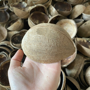 Natural Coconut Shell Bowl for Ice Cream & Dessert Eco-Friendly Handmade Modern Design Lightweight Durable Wholesale - Product Image 5