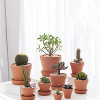 Pot de fleurs en terre cuite orange respirant pour la maison, taille standard, écologique, durable, léger, biodégradable, jardinière classique