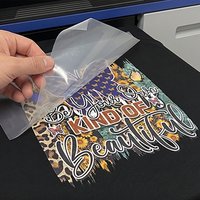 Prenda de Moda Urbana con Diseño de Dibujos Animados, Lavable, Ecológica, de Goma PET, Personalizable, de Primera Calidad, con Impresión por Transferencia de Calor