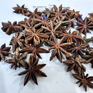 Anís estrellado entero seco, grado alimenticio, aroma natural, suministro al por mayor B2B para fábricas de condimentos, importador de té de hierbas/ ANNA DO - Product Image 1