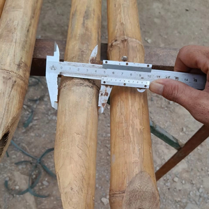 ผู้ผลิตไม้ไผ่ธรรมชาติจากเวียดนามสำหรับสวนและงานก่อสร้าง ขายส่งจำนวนมากจากโรงงาน รับส่งออก - Product Image 6