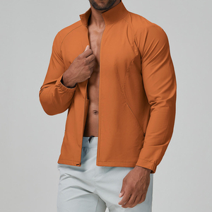 Chaqueta Informal con Cierre, Cuello Alto, Spandex, Poliéster, Manga Larga, Ligera, para Correr, Anorak, Ajuste Cómodo, Traje Deportivo - Product Image 1