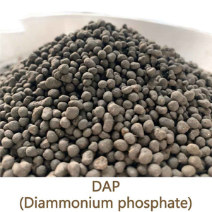 ปุ๋ยเกษตร DAP 18-46-0 ไดแอมโมเนียมฟอสเฟต 64% สีเหลือง เม็ดละเอียด คุณภาพสูง อายุการเก็บรักษา 2 ปี - Product Image 4