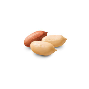 ถั่วลิสงเปลือกแดง / เมล็ดถั่วลิสงลวก / ถั่วลิสงเปลือกแดงคั่วและปรุงรส - Product Image 2