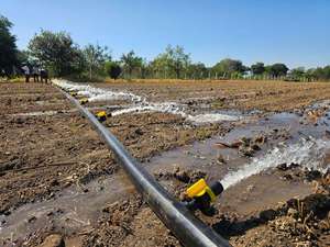 Tuyau d'irrigation goutte à goutte en PE de 75 mm, rouleau de 30 mètres pour le jardinage, l'agriculture, l'arrosage des jardins et les systèmes d'irrigation efficaces - Product Image 3