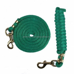 New Arrival Chain Horse Lead Rope <b>Equestrian</b> Products Customization Nylon Webbing Horse Lead Rope With Strong Clip - Product Image 1