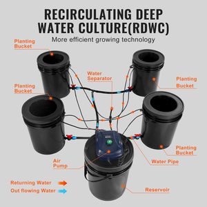 Sistema Hidropónico RDWC de Cultivo en Agua Profunda Recirculante con 4 Cubetas de 5 Galones de Capacidad, Equipo de Riego e Hidroponía - Product Image 4