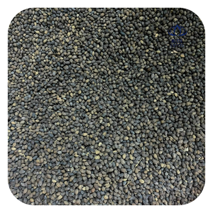 เมล็ดมะละกออบแห้งเกรดส่งออก วัตถุดิบอาหารพรีเมียม เวียดนาม - Product Image 1