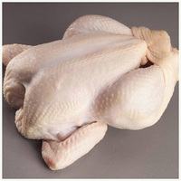 Pollo Entero Congelado Halal, Sin Cafeína, Sin Grasas Trans, Empaque a Granel, Proceso IQF, 25 kg, Alta Calidad, 1 Año de Vida Útil