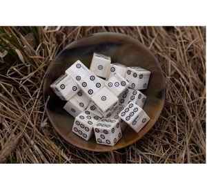 Natural Bone Viking Rune Sticks Ivory Color Antique Style Fortune Telling <b>Set</b> for Ritual Decor Gift - Product Image 4