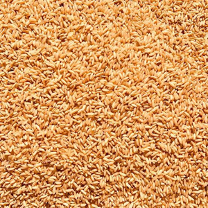 Arroz Integral de Primera Calidad al por Mayor, Venta al por Mayor de Arroz Integral de Grado Alimenticio, Fabricante de Exportación de Alta Calidad - Product Image 6