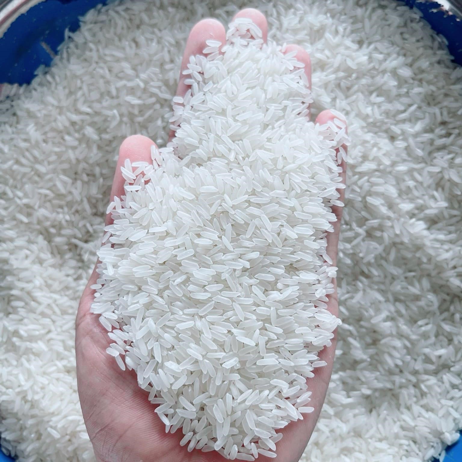 Натуральный сладкий вкус вьетнамский жасминовый рис RIZ ароматный длиннозерный белый сушеный рис 5 кг 10 кг 25 кг мешок
