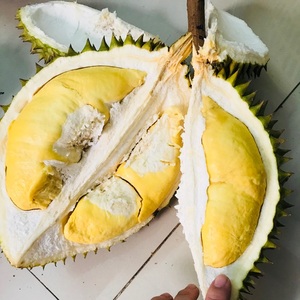 Durian Congelé Premium Monthong Ri6 Pulpe Dorée IQF en Morceaux Exportation en Gros du Vietnam - Mme Tarina - Product Image 1