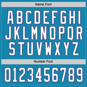 Custom Panther Blue White Purple Hockey Jersey Sublimation Breathable Team Uniform Stitched Training Sportswear Men Youth Top - Product Image 5