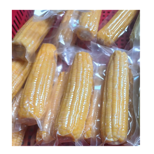 Légumes surgelés en gros pour restaurants et supermarchés - Product Image 4
