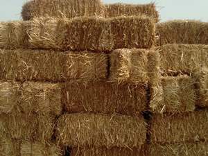 Paja de arroz de alta calidad para caballos y cerdos para jardinería, mantillo, mejora del suelo - Product Image 3