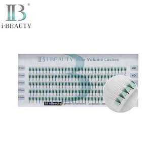 IB Eyelash Extension - Pre-made Fan FINE <b>VOLUME</b> <b>LASHES</b> Horizontal 4D <b>Lash</b> a Type Narrow Version Individual <b>Lash</b> ibeauty korea - Product Image 1