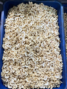 เม็ดมะม่วงหิมพานต์จากธรรมชาติแบบแห้งเกรดพรีเมี่ยมจากเวียดนามจัดหาถั่วสำหรับการแปรรูปอาหารเทคโนโลยีเวียดนามหิ้งยาว - Product Image 2