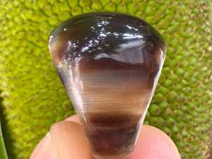 Oval Polished Buffalo Horn Modern Signet Ring Natural Crafted Organic Material <b>Men</b> Women <b>Wedding</b> Decoration <b>Gift</b> HANDICRAFTS - Product Image 5