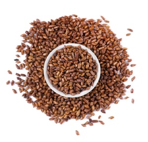 Cassia de qualité supérieure au meilleur prix - Product Image 4