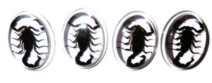 Escorpión Negro, Espécimen Real, Cabujón de Plástico Ovalado de 31x41 mm, Base Plana Transparente para Manualidades y Joyería - Product Image 4