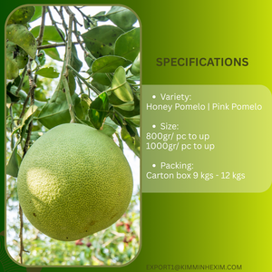 Pomelo frais de haute qualité du Vietnam - Approvisionnement en gros pour les importateurs mondiaux par Kim Minh International - Product Image 3