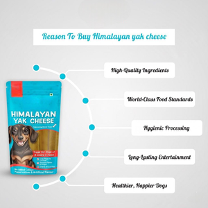Masticables de Yak del Himalaya al por Mayor para Perros, Masticables Dentales Naturales con Alto Contenido de Calcio, Golosinas Duraderas para Perros, Empaque Personalizado OEM ODM - Product Image 4