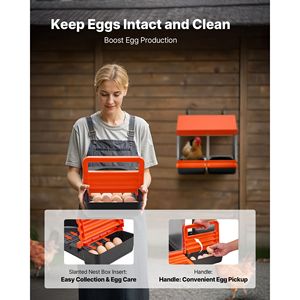 Nidi per Galline in Plastica a 2 Scomparti, Montaggio a Parete, Facile Assemblaggio, Acciaio Zincato ad Alta Resistenza, Facile Raccolta delle Uova - Product Image 4