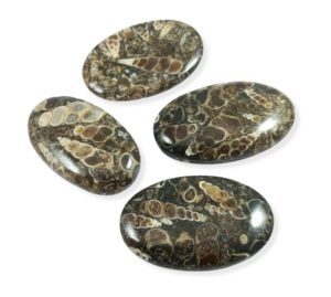 <b>Top</b> Turritella Agate Gemstone Customize Size Loose Precious Turritella Agate Cabochon Mix Shape For Making Jewelry - Product Image 2
