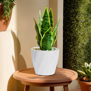 Pot de fleur en plastique de table durable et léger résistant aux fissures avec parfait pour le bureau, le salon et la décoration de la maison - Product Image 4