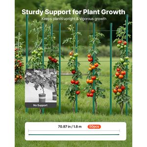Pali per Pomodori in Metallo Rivestito in Plastica da 70,87 Pollici, Confezione da 50, Bastoncini da Giardino per Supporto Piante con Punta Appuntita, Utilizzati per la Coltivazione - Product Image 2