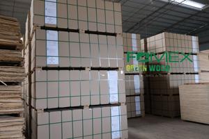 Contrachapado de Abedul de 4-21 mm de Grosor, Certificado CARB-P2 E0, Lijado, para Uso en Interiores, Sostenible, Exportado - Product Image 4