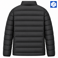 Veste matelassée noire pour homme, col montant, fermeture éclair, coupe-vent, manteau d'hiver décontracté, coupe régulière, extérieur en polyester