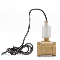 Vanne solénoïde en cuivre DSF-40 1-3/4" haute précision pour le contrôle du carburant, pièce de rechange pour distributeur de carburant