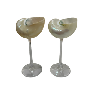 Concha de Nautilus de Vietnam de Primera Calidad, Decorativa, Hecha de Concha Natural para Decoración del Hogar, Bodas y Artículos de Regalo - Product Image 1