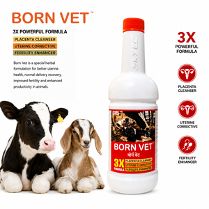 Sirop Herbal BornVet Tonique Utérin à Formule 3X pour le Soutien de la Fertilité Post-Insémination chez les Bovins, Buffleaux, Moutons et Chèvres |   Pack de 500 ml - Product Image 2