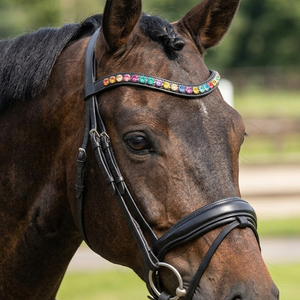 Magnífica Diadema de Cuero Anatómica en Forma de U de 1 Fila Multicolor de Calidad Premium con Adornos Brillantes para Caballo, Accesorios para Brida de Doma - Product Image 4