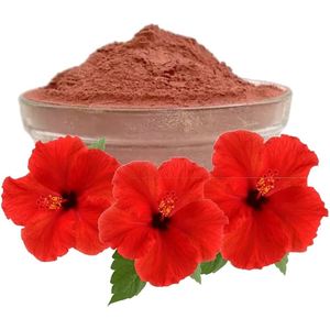ผงใบดอกชบาโรซา กุดฮัล ฟูล ซิเนนซิส สมุนไพรแห้ง เกรด A+ ขายส่ง - Product Image 1