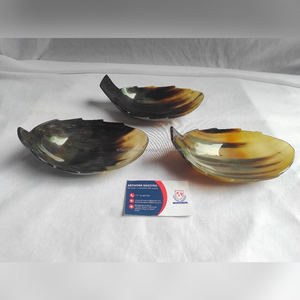 Ensemble de deux cuillères en véritable corne de mouton, fabriquées par des artisans indiens qualifiés. Meilleur ensemble de couverts, cuillères, fourchettes miniatures, ustensiles de cuisine attrayants. - Product Image 4