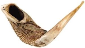 Auténtico Cuerno de Shofar, Instrumento Musical Judío Hecho a Mano, Asequible, para Oración, Rituales, Prácticas Espirituales y Ceremonias - Product Image 2