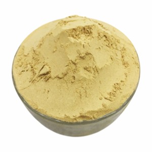 Wholesale Haritaki Powder 100% Pure & Natural Terminalia Chebula Fruit Powder Ayurvedic Herbal Supplement <b>for</b> Digestion Support - Product Image 1