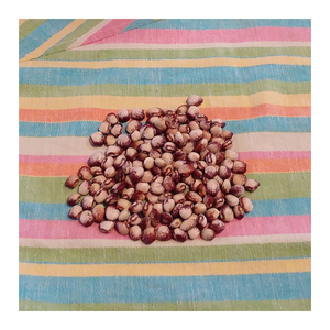 Frijoles blancos moteados de alta calidad preparados para distribución comercial y compras de gran volumen - Product Image 6