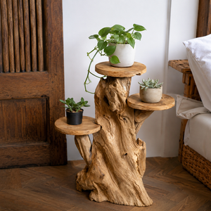 ARTERRA Support de Présentation en Bois Massif Artisanal Rustique en Racine de Teck Bio de Luxe pour Décoration Intérieure/Extérieure - Idéal Diwali - Product Image 3